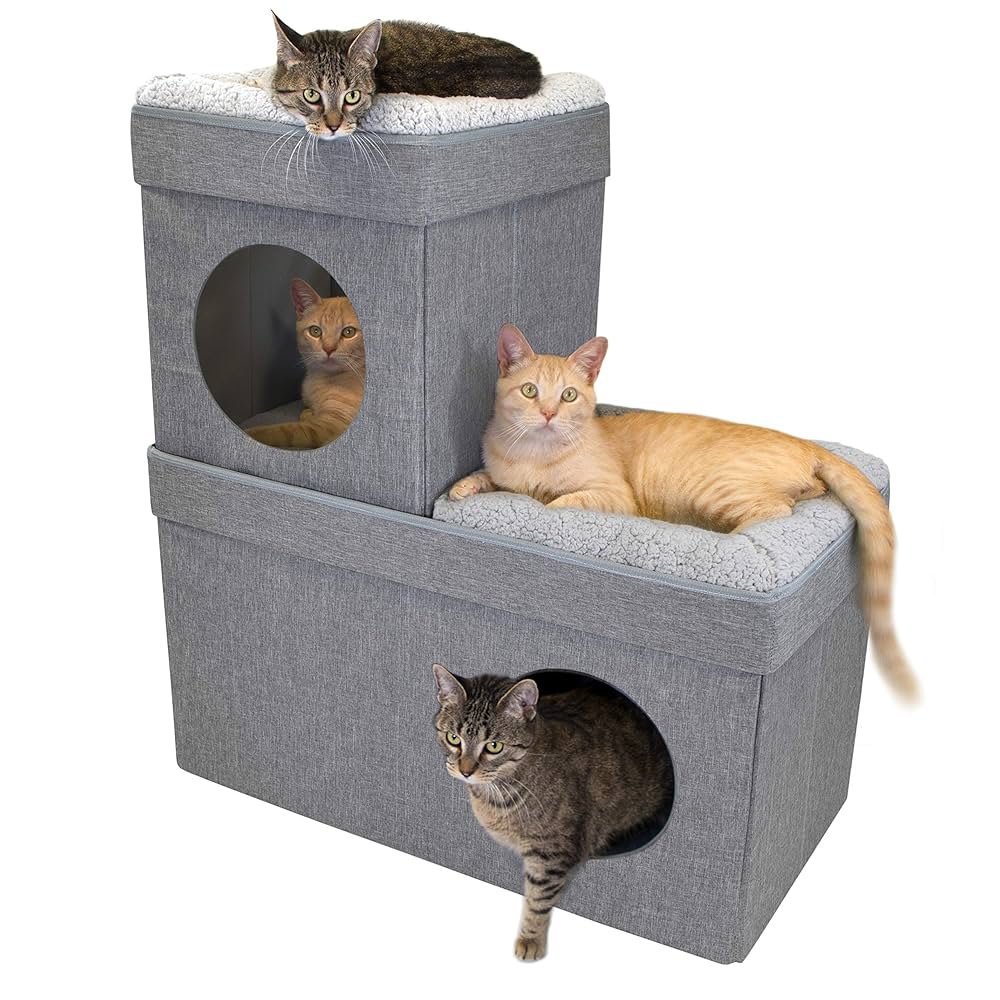 花井祐介 ACME Furniture STUFFED CAT with BOX 花井祐介 ACME Furniture STUFFED CAT with BOX 花井祐介 ACME